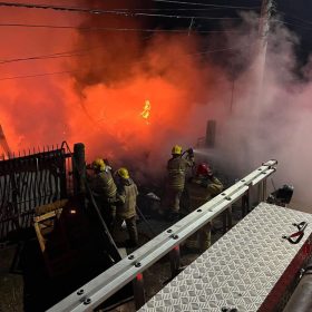 Vídeo: Corpo de Bombeiros resgata cadela durante incêndio em depósito, em Pouso Alegre