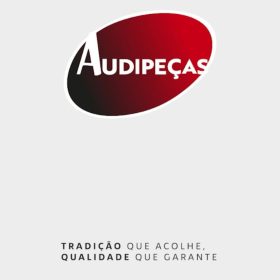 Do pioneirismo feminino à liderança de mercado: Audipeças celebra 60 anos de protagonismo em Divinópolis
