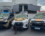Drogas vindas da Bolívia são apreendidas em hotel de Divinópolis
