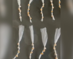 PM apreende 70 pedras de crack em Papagaios