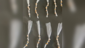 PM apreende 70 pedras de crack em Papagaios