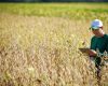 Residência agropecuária une teoria e prática
