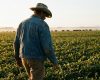 União, diálogo e firmeza ditam posição do agro neste ano eleitoral