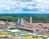 Fábrica impulsiona produção de celulose