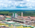 Fábrica impulsiona produção de celulose