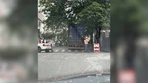 Galhos de &aacute;rvores caem sobre carreta e rua &eacute; interditada no Centro de Divin&oacute;polis