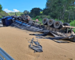 Carreta carregada de soja tomba na BR-494 em Carmo da Mata