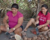 “Elas do campo à mesa”: conheça a história de mulheres que alimentam o Brasil