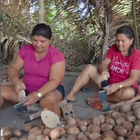 “Elas do campo à mesa”: conheça a história de mulheres que alimentam o Brasil