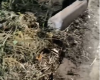 Risco de desmoronamento preocupa moradores na região do Candelária, em Divinópolis