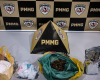 Jovem é detido com drogas em Nova Serrana
