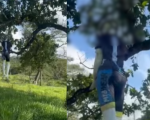 Boneco de ciclista amarrado em árvore causa revolta e repercussão em Divinópolis