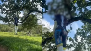 Boneco de ciclista amarrado em &aacute;rvore causa revolta e repercuss&atilde;o em Divin&oacute;polis