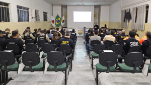 Lagoa da Prata e Arcos: Opera&ccedil;&atilde;o mira fabricantes encapsulados e vendas na internet
