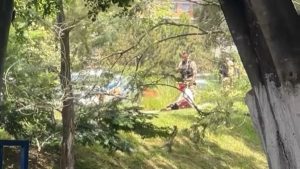 Homem &eacute; preso por matar cachorro a pauladas no Manoel Valinhas, em Divin&oacute;polis