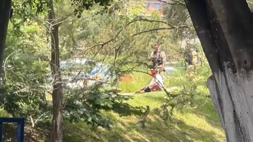 Homem é preso por matar cachorro a pauladas no Manoel Valinhas, em Divinópolis
