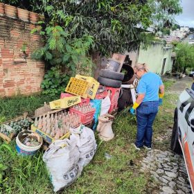 Divinópolis realiza novo mutirão contra a dengue em 13 bairros
