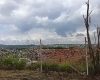 Divinópolis: Moradores do bairro Frei Galvão denunciam mau cheiro de lixão e cobram providências