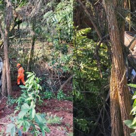 Capotamento na BR-354 em Formiga deixa motorista ferida após tentativa de evitar colisão com carreta