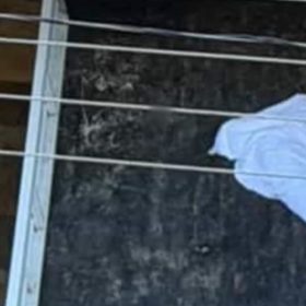 VÍDEO: Confira momento em que homem atira contra cachorro em Pará de Minas; suspeito é preso