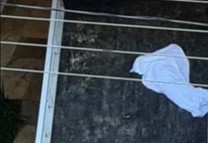 V&Iacute;DEO: Confira momento em que homem atira contra cachorro em Par&aacute; de Minas; suspeito &eacute; preso