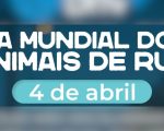 Dia Mundial dos Animais de Rua reforça combate ao abandono