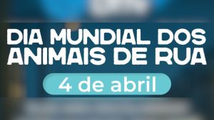 Dia Mundial dos Animais de Rua reforça combate ao abandono