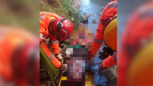 Jovem fica ferida ao cair de 3 metros ao tentar resgatar gato em Formiga