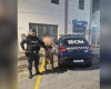 Homem é preso após agredir companheira e usar pit bull em ataque em Nova Serrana