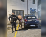 Homem é preso após agredir companheira e usar pit bull em ataque em Nova Serrana