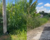 VÍDEO: Mato alto e lixo próximo a córrego causam transtornos a moradores em Divinópolis