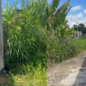 VÍDEO: Mato alto e lixo próximo a córrego causam transtornos a moradores em Divinópolis