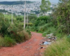 Formiga: Homem é encontrado morto com sinais de violência