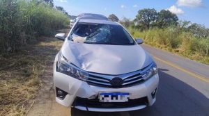 Idoso de 73 anos morre atropelado na MG-170, em Lagoa da Prata