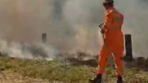 Incêndio às margens da BR-494 em Oliveira mobiliza Bombeiros