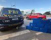 Homem é preso com 200 quilos de maconha após fuga na BR-262, em Bom Despacho
