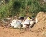 VÍDEO: Moradora denuncia acúmulo de lixo e entulho em Divinópolis
