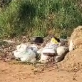 VÍDEO: Moradora denuncia acúmulo de lixo e entulho em Divinópolis