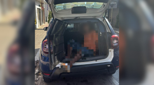 Homem é preso após tentar furtar garrafas de cachaça e ameaçar funcionários em Nova Serrana-MG