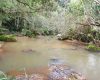 Minas Gerais ganha duas novas reservas ambientais e amplia áreas protegidas