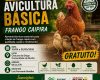 Sindicato Rural e Sistema FAEMG Senar realizam o curso de criação de galinha caipira