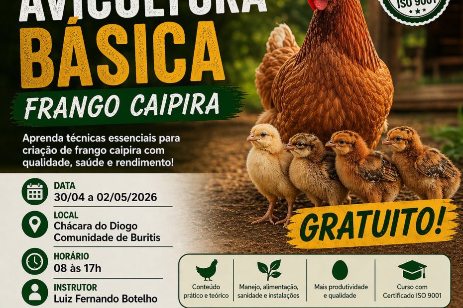 Sindicato Rural e Sistema FAEMG Senar realizam o curso de criação de galinha caipira