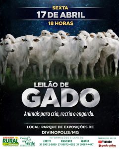 Leilão especial destaca bom momento da arroba e movimenta o agronegócio em Divinópolis nesta sexta-feira (17)