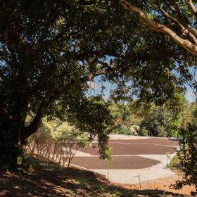 Empres&aacute;rios e prefeituras ter&atilde;o R$ 700 milh&otilde;es em linhas de cr&eacute;dito do BDMG para fomentar economia verde no estado