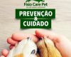 Clinica em Divinópolis é referência no serviço de fisioterapia PET