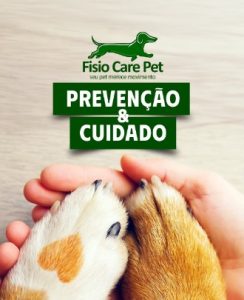Clinica em Divinópolis é referência no serviço de fisioterapia PET