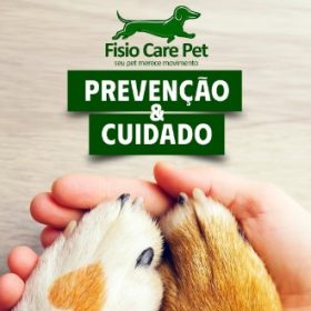 Clinica em Divinópolis é referência no serviço de fisioterapia PET