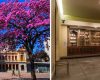 Feira da Estação realiza edição especial de Dia das Mães no SESI Museu de Artes e Ofícios