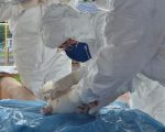 IMA vistoria 50 propriedades rurais em exercício simulado de gripe aviária
