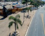 DivinaExpô 2026 terá mudanças no trânsito, bloqueios e restrições de estacionamento na região do Parque de Exposições